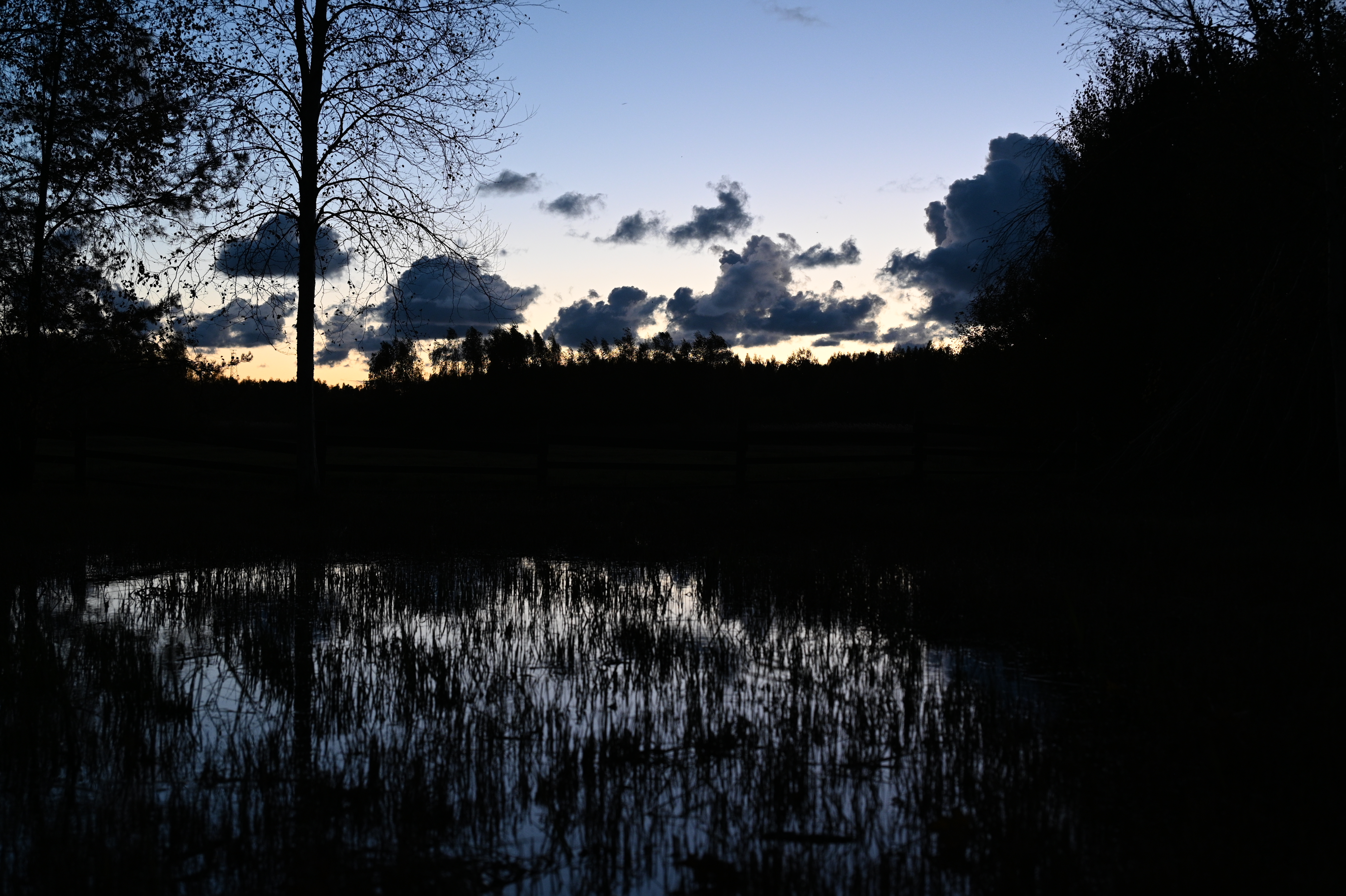 2025/10/18 - walk/DSC_0658.JPG